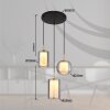 Globo Lampigna Hanglamp LED Messing, Zwart, 1-licht