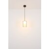 Globo Lampigna Hanglamp LED Messing, Zwart, 1-licht