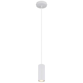 Globo James Hanglamp Wit, 1-licht