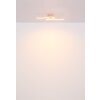 Globo Tyler Plafondlamp LED Roze, 1-licht