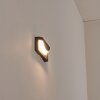 Orvalho Wandlamp voor buiten Antraciet, 1-licht