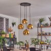 Koyoto Hanglamp, Kogellampje Goud, Duidelijk, 4-lichts