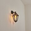 Falfosa Wandlamp voor buiten Goud, Zwart, 1-licht