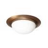 steenhouwer Ikaro Plafondlamp LED Brons, 1-licht