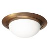 steenhouwer Ikaro Plafondlamp LED Brons, 1-licht