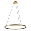 steenhouwer Ringlux Hanglamp LED Goud, 2-lichts