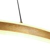 steenhouwer Ringlux Hanglamp LED Goud, 2-lichts