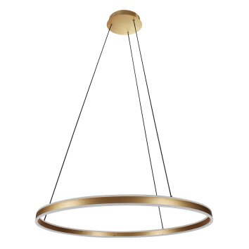 steenhouwer Ringlux Hanglamp LED Goud, 2-lichts