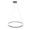 steenhouwer Ringlux Hanglamp LED Zwart, 2-lichts