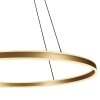 steenhouwer Ringlux Hanglamp LED Goud, 2-lichts