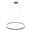 steenhouwer Ringlux Hanglamp LED Zwart, 2-lichts