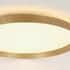 steenhouwer Flady Plafondlamp LED Goud, 2-lichts