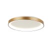 steenhouwer Ringlede Plafondlamp LED Goud, 1-licht