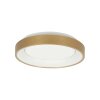 steenhouwer Ringlede Plafondlamp LED Goud, 1-licht