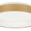 steenhouwer Ringlede Plafondlamp LED Goud, 1-licht