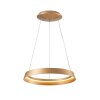 steenhouwer Ringlux Hanglamp LED Goud, 1-licht