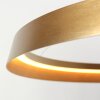 steenhouwer Ringlux Hanglamp LED Goud, 1-licht