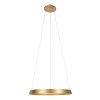 steenhouwer Ringlux Hanglamp LED Goud, 1-licht