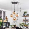 Ripoll Hanglamp, Kogellampje, Hanglamp Amber, 4-lichts