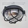 Godel Plafondlamp voor buiten, Plafondlamp Zwart, 1-licht