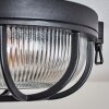 Godel Plafondlamp voor buiten, Plafondlamp Zwart, 1-licht