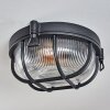 Godel Plafondlamp voor buiten, Plafondlamp Zwart, 1-licht