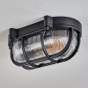 Godel Plafondlamp voor buiten, Plafondlamp Zwart, 1-licht