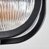 Godel Plafondlamp voor buiten, Plafondlamp Zwart, 1-licht