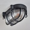 Godel Plafondlamp voor buiten, Plafondlamp Zwart, 1-licht