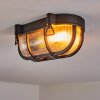 Godel Plafondlamp voor buiten, Plafondlamp Zwart, 1-licht