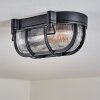 Godel Plafondlamp voor buiten, Plafondlamp Zwart, 1-licht