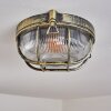 Godel Plafondlamp voor buiten, Plafondlamp Goud, Zwart, 1-licht