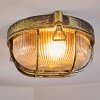 Godel Plafondlamp voor buiten, Plafondlamp Goud, Zwart, 1-licht