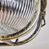 Godel Plafondlamp voor buiten, Plafondlamp Goud, Zwart, 1-licht