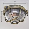 Godel Plafondlamp voor buiten, Plafondlamp Goud, Zwart, 1-licht