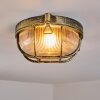 Godel Plafondlamp voor buiten, Plafondlamp Goud, Zwart, 1-licht