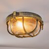 Godel Plafondlamp voor buiten, Plafondlamp Goud, Zwart, 1-licht