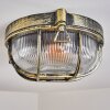 Godel Plafondlamp voor buiten, Plafondlamp Goud, Zwart, 1-licht