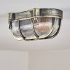 Godel Plafondlamp voor buiten, Plafondlamp Goud, Zwart, 1-licht