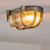 Godel Plafondlamp voor buiten, Plafondlamp Goud, Zwart, 1-licht