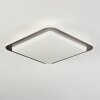 Carregueira Plafondlamp, Paneel LED Zilver, Wit, 1-licht, Bewegingsmelder