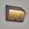 Pedreiras Wandlamp voor buiten, Zonne-licht, Wandlamp LED Antraciet, 1-licht, Bewegingsmelder