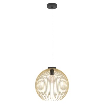 Eglo verlichting VENEZUELA Hanglamp Goud, Zwart, 1-licht