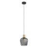 Eglo verlichting EMPOLI Hanglamp Messing, Zwart, 1-licht