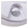 Lucide IR Wandlamp voor buiten LED Wit, 1-licht, Bewegingsmelder