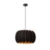 Lucide SPENCER Hanglamp Zwart, 1-licht