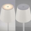 Lichten Direct EURIA Staande lamp LED Wit, 1-licht