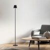 Lichten Direct EURIA Staande lamp LED Zwart, 1-licht