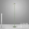 Lichten Direct AMAG Staande lamp LED Groen, 1-licht