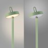 Lichten Direct AMAG Staande lamp LED Groen, 1-licht